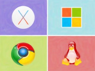 Multiple Operating Systems